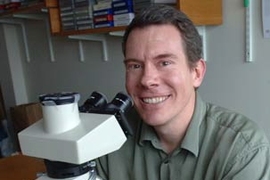 Arlin Rogers, principal research scientist in the MIT Division of Comparative Medicine, looks at slides in his office. He and colleagues have figured out why men are more susceptible to liver cancer than women.