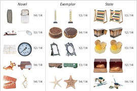 Subjects in memory tests given at MIT's Computational Vision Cognition Laboratory were asked to recall which of a pair of objects they had seen earlier that day. Subjects were shown 3,000 images, one at a time, over a five-hour period.