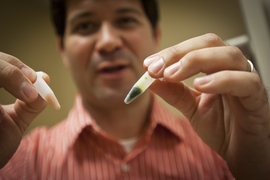 Postdoctoral researcher Iftach Yacoby holds vials containing two of the materials used in the research: On the right, green photosynthetic membranes derived from plants, and on the left, brown ferredoxin protein, one of two enzymes the team combined to increase hydrogen production.