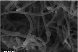 As the battery is used, particles of lithium peroxide form as small dots on the sides of carbon nanofibers (top), and eventually assume larger toroidal
(donut) shapes as the battery continues to discharge (bottom), as seen in these scanning electron microscope images.