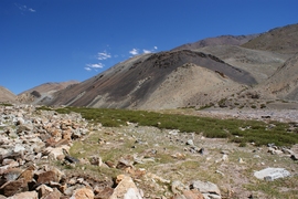 Rocks in the Nidar Ophiolite formed on the floor of an ocean between the Kohistan Ladakh island arc and India about 120 to 50 million years ago.