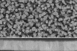 Scanning Electron Microscope images show an array of zinc-oxide nanowires (top) and a cross-section of a photovoltaic cell made from the nano wires, interspersed with quantum dots made of lead sulfide (dark areas). A layer of gold at the top (light band) and a layer of indium-tin-oxide at the bottom (lighter area) form the two electrodes of the solar cell.