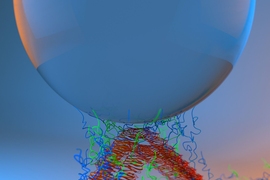 This image shows adhesion between the silica tip of an atomic force microscope and adhesive fibers made by fusing mussel foot proteins and curli amyloid fibers.