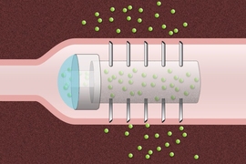 A schematic drawing of a microneedle pill with hollow needles. When the pill reaches the desired location in the digestive tract, the pH-sensitive coating surrounding the capsule dissolves, allowing the drug to be released through the microneedles.