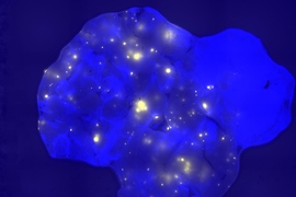 In this pancreatic tissue sample, bright spots represent cells that have undergone a specific genetic alteration.