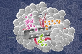 MIT chemical engineers have designed an implantable device that can deliver many drugs at once, allowing researchers to determine which drugs are the most effective against a patient's tumor. 