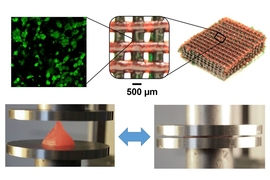 At top, the structure of the hydrogel material is shown at different scales, down to the molecular level. At bottom, material 3-D printed using this method is so flexible that it can be squeezed flat, and then spring back to its full original shape.