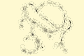 Illustration of points in an arbitrary high-dimensional space that live close to a one-dimensional, tree-like structure, as might arise from genomes generated by mutation and selection in evolution. Although high-dimensional at a fine scale, at the coarser scale of covering spheres, the data cloud looks nearly one-dimensional, which enables entropy scaling of similarity search.
