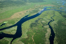 An aerial view of St. Johns River in Florida.