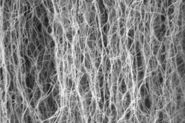 A zoomed in view of carbon nanotubes, showing individual tubes.  