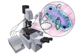 An artist’s rendition of DNA entering bacteria.