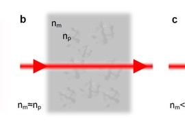 At a certain temperature (b), the refractive indices of an optical fluid and glass particles suspended in it match, rendering the solid-fluid mixture transparent. At lightly lower (a) and higher (b) temperatures, the mismatch of refractive indices causes light to scatter.