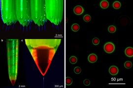 The new emitters are a variant on the hollow 3-D-printed design. But instead of having a single opening at its tip, each emitter has two openings — a hole and a concentric ring. The openings are fed by separate microfluidic channels. If the viscosity and electrical conductivity of the fluids fed through the channels, the strength of the electric field that draws them up, and the length and diame...