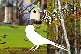 The researchers’ neural network was fed video from 26 terabytes of video data downloaded from the photo-sharing site Flickr. Researchers found the network can interpret natural sounds in terms of image categories. For instance, the network might determine that the sound of birdsong tends to be associated with forest scenes and pictures of trees, birds, birdhouses, and bird feeders.