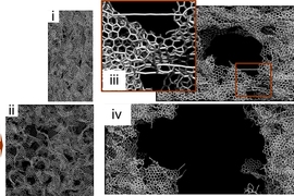 This illustration shows the simulation results of tensile and compression tests on 3-D graphene.