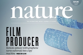 Felice Frankel, a research scientist in MIT’s Center for Materials Science and Engineering, has helped to produce images that just in the last few months have graced the covers of Nature, Nature Materials, and Environmental Science, among others.
