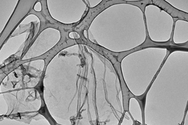 A transmission electron micrograph shows the microscale morphology of graphene oxide, examined for the design of new filtration membranes.  