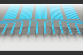 Cells pass through an sSMR device, which consists of multiple sensors that are fluidically connected in series and separated by delay channels (not all is shown). This design enables a stream of cells to flow through the device such that different sensors can concurrently weigh flowing cells in the stream.


