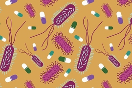 MIT researchers have discovered a way to make bacteria more vulnerable to a class of antibiotics known as quinolones, which include ciprofloxacin and are often used to treat infections such as Escherichia coli and Staphylococcus aureus.
