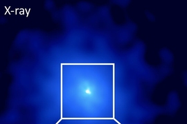 An X-ray image (in blue) with a zoom in optical image (gold and brown) showing the central galaxy of a hidden cluster, which harbors a supermassive black hole.