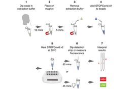 process for test