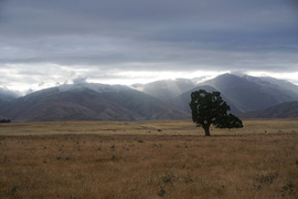 Tehachapi Mountains