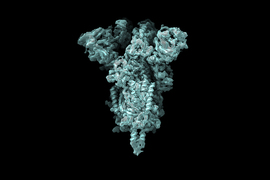 Illustration of coils and clusters in a protein structure