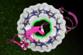 binding affinity of a drug molecule