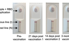 Tests showing differing levels of antibodies