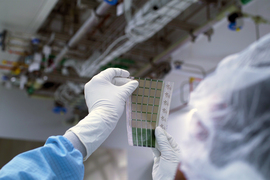 Gloved hands hold a sheet containing 6x5 grid of solar cells.