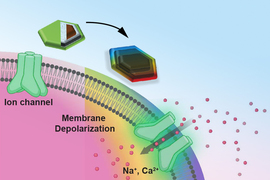 Two nanodiscs, one an early model and one the final model in rainbow colors, hover over a brain neuron. The final model allows for “Membrane Depolarization” and shows an Ion Channel responding to it by allowing molecules inside.